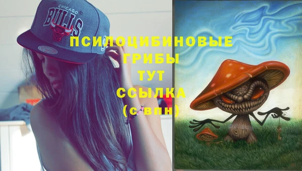 твердый Лиски
